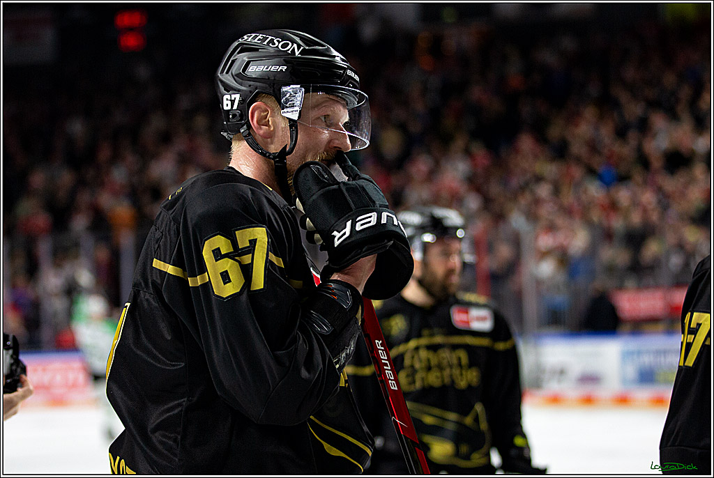 PENNY DEL; Koelner Haie-Bietigheim Steelers; Koeln, 05.03.2023